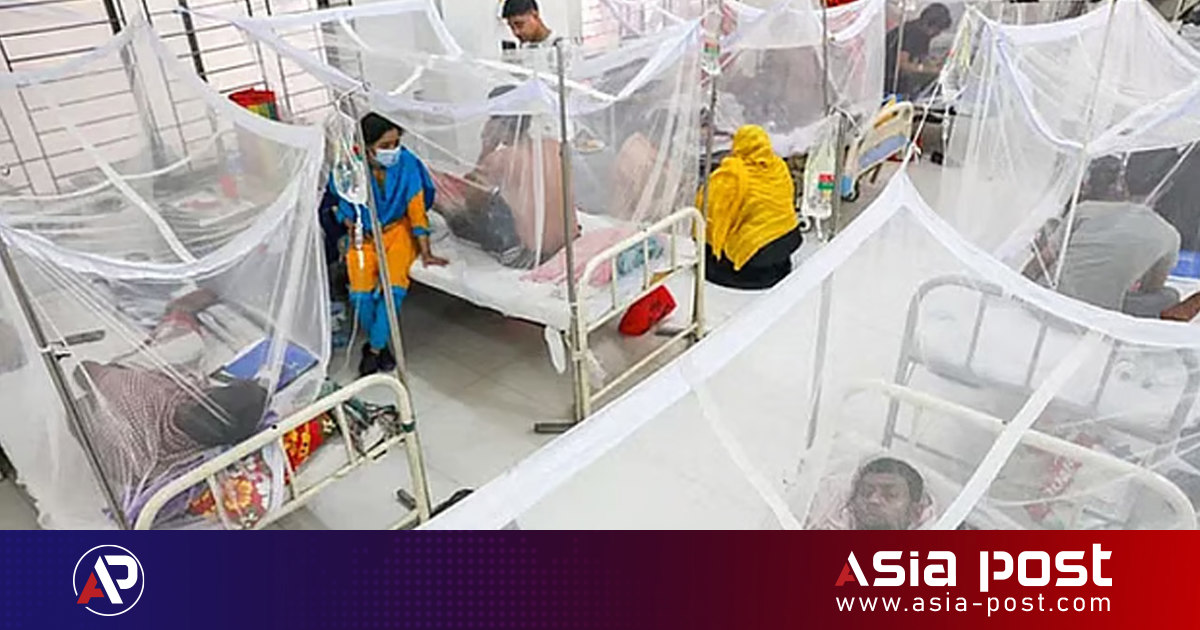 ডেঙ্গুতে এক দিনে আরও ৯ জনের মৃত্যু