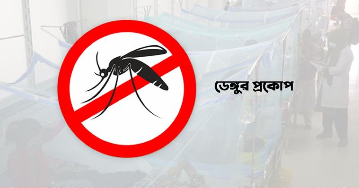 ডেঙ্গুতে একদিনে আক্রান্ত ৫৯৩, মৃত্যু ৩