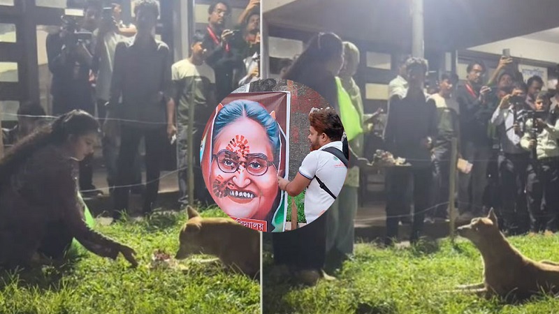 জন্মদিনে হাসিনাকে জুতাপেটা, কুকুরকে খাওয়ানো হলো কেক!