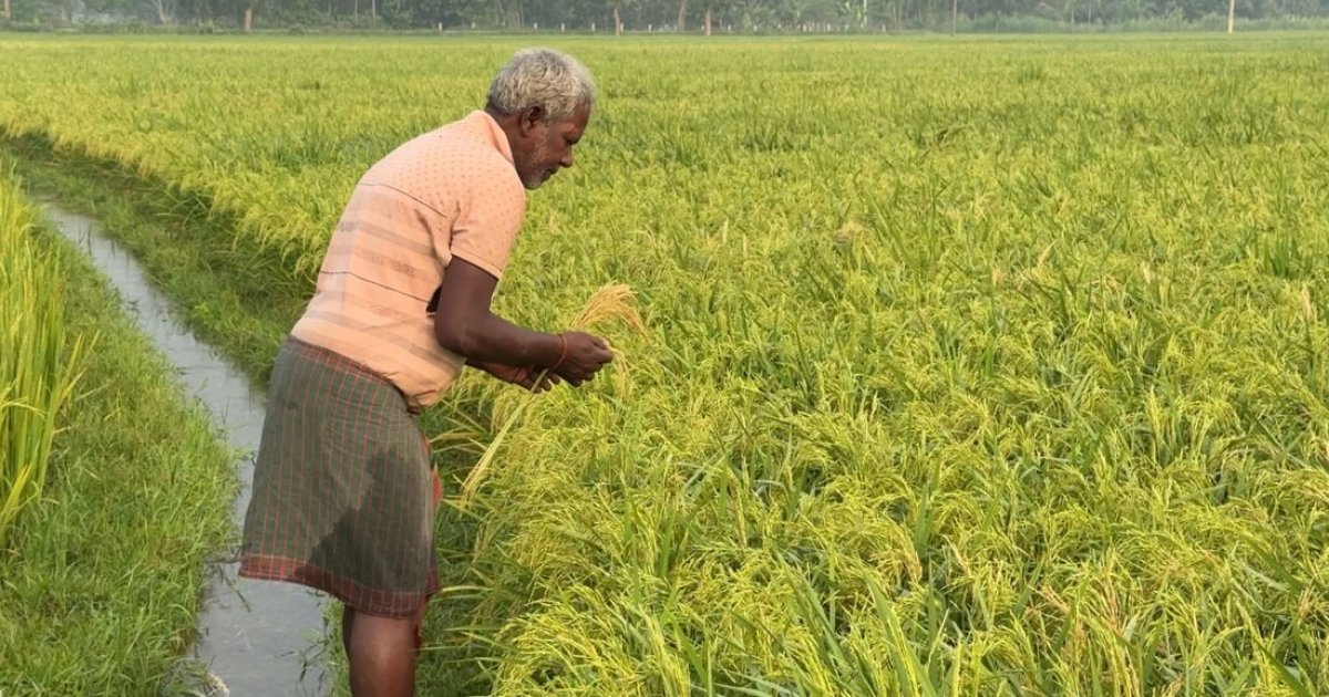 কৃষিজমি ব্যবহারে আলাদা কর্তৃপক্ষ করবে সরকার