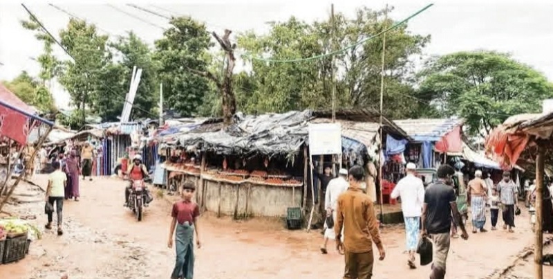 বনভূমি গিলে খাচ্ছে সিন্ডিকেট, প্রভাবশালী মহলের ছত্রছায়ায় চলছে অবৈধ বাজার