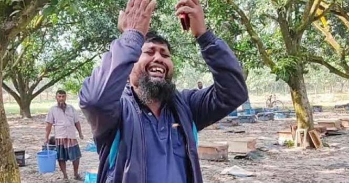 বিষ দিয়ে মৌচাষির ২০০ বাক্স মৌমাছি হত্যা
