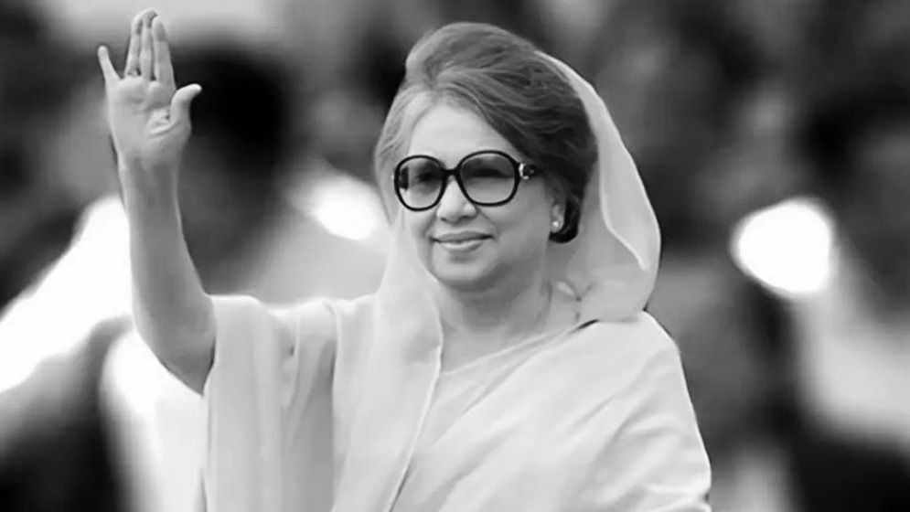 রাষ্ট্রপতির ক্ষমা নয়, আদালতে নির্দোষ প্রমাণিত হন খালেদা জিয়া: কায়সার কামাল