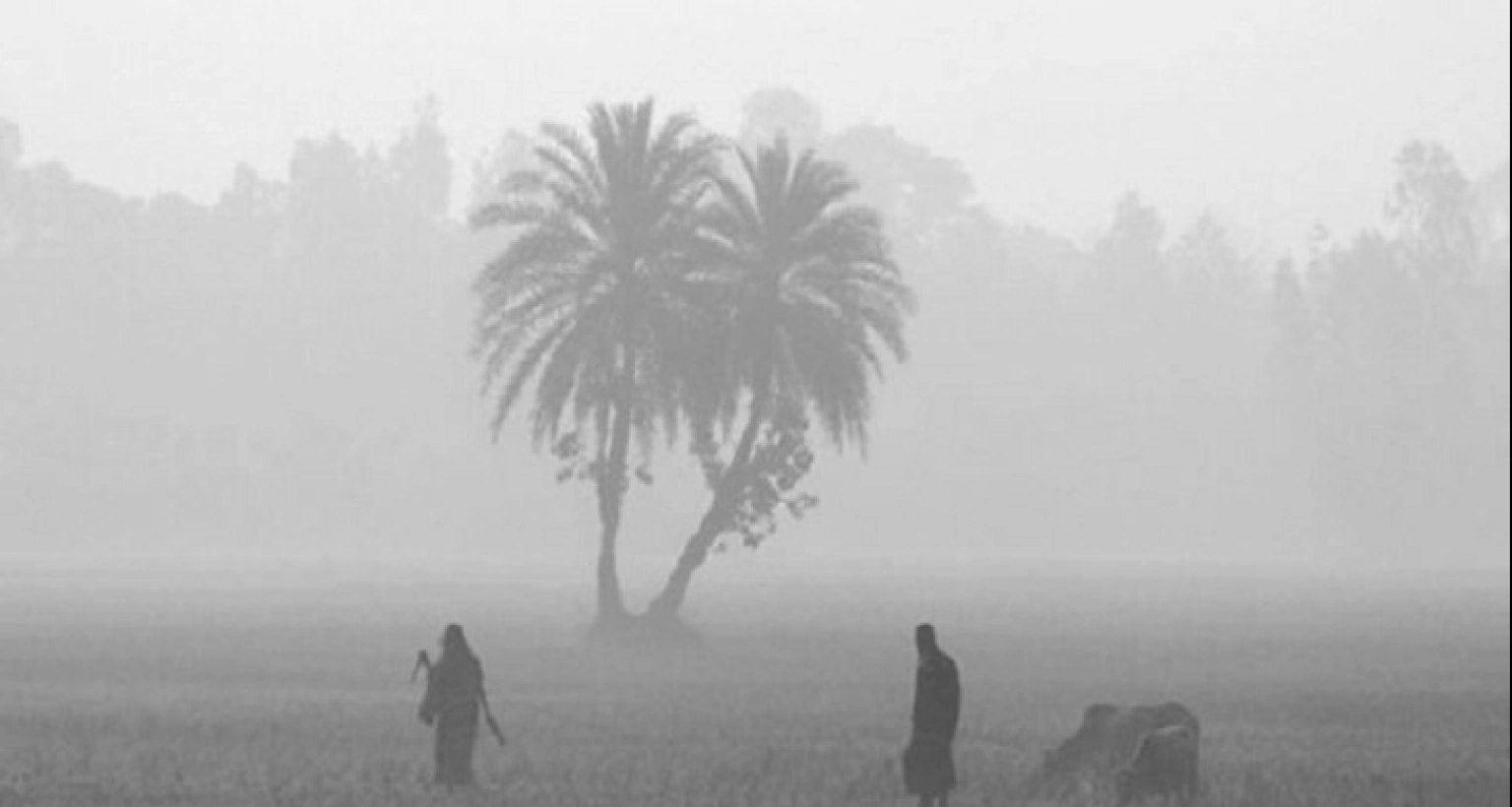 চলমান শৈত্যপ্রবাহের এলো নতুন দুঃসংবাদ