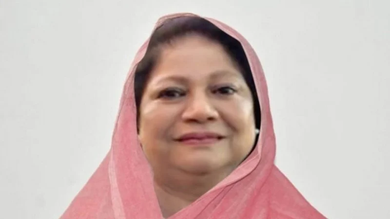 ‘বিএনপির প্রার্থীর কোনও যোগ্যতা নাই’ ধানের শীষের সমাবেশে বললেন হাসনা মওদুদ