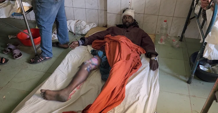 মাছ চুরির অপবাদে দিনমজুরের পা ভেঙে দিলেন বিএনপি নেতা, ভিডিও ভাইরাল