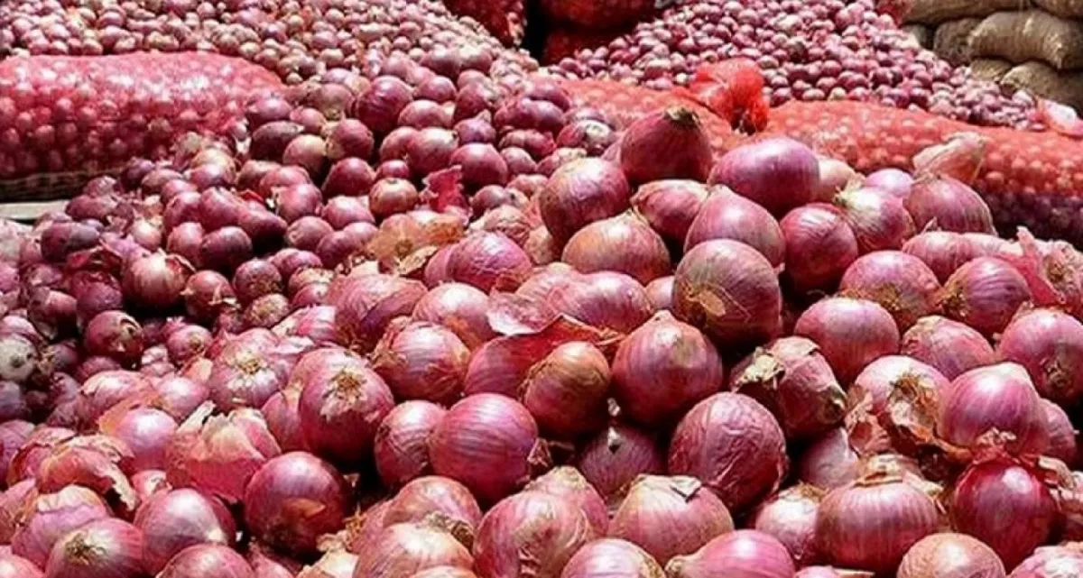 বড় ধস পেঁয়াজের বাজারে, দাম অর্ধেকে
