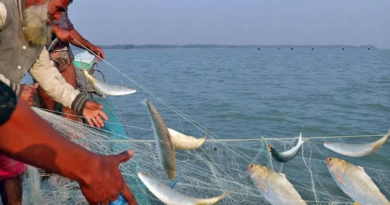 বঙ্গোপসাগরে মাছ ধরায় ৫৮ দিনের নিষেধাজ্ঞা