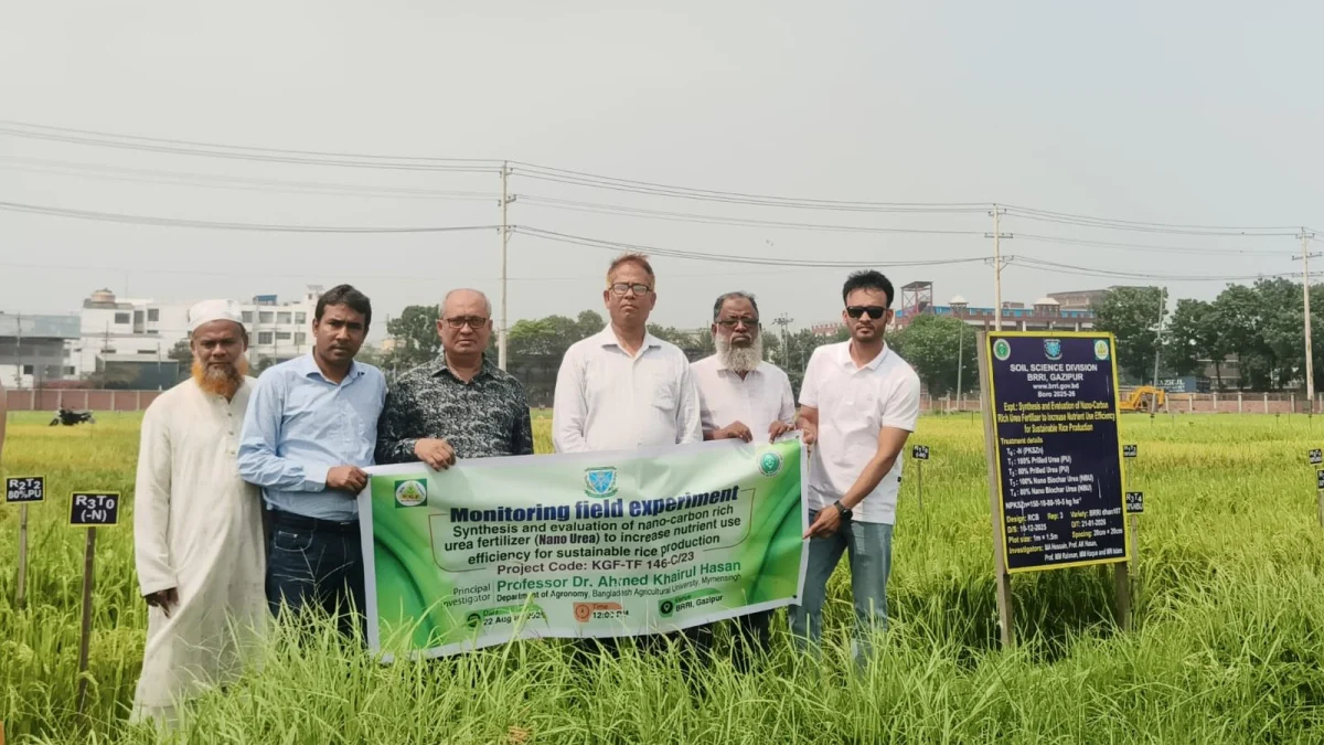 বাকৃবিতে ন্যানো ইউরিয়া উদ্ভাবন , ল্যাব ছাড়িয়ে মাঠেও অধিক উৎপাদনে সফল