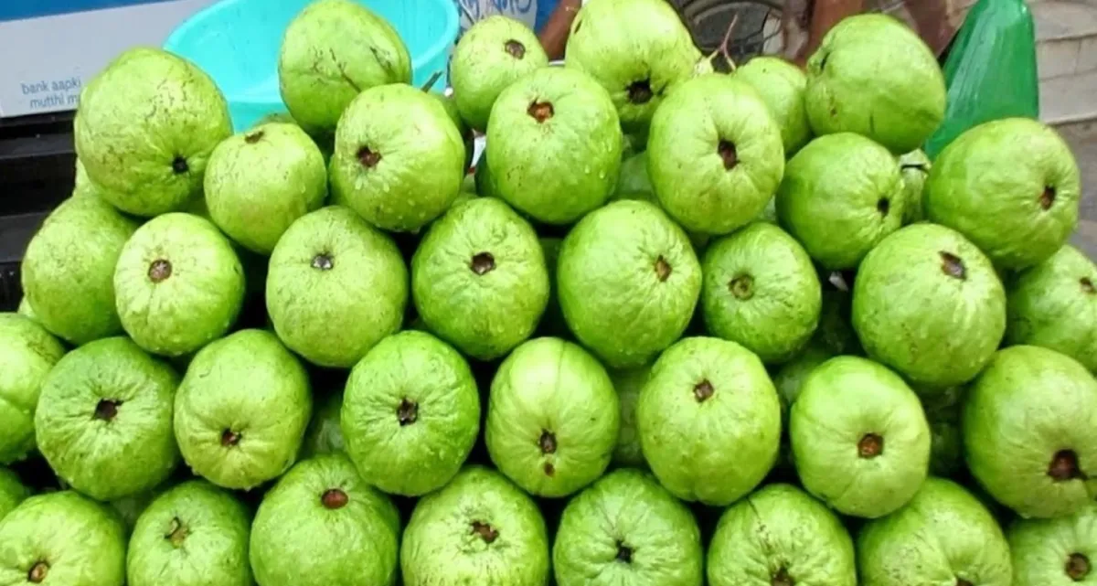 যারা ভুলেও পেয়ারা খাবেন না